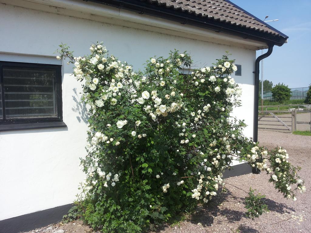 Laegenhet Lillisgarden Hostal Vallåkra Exterior foto